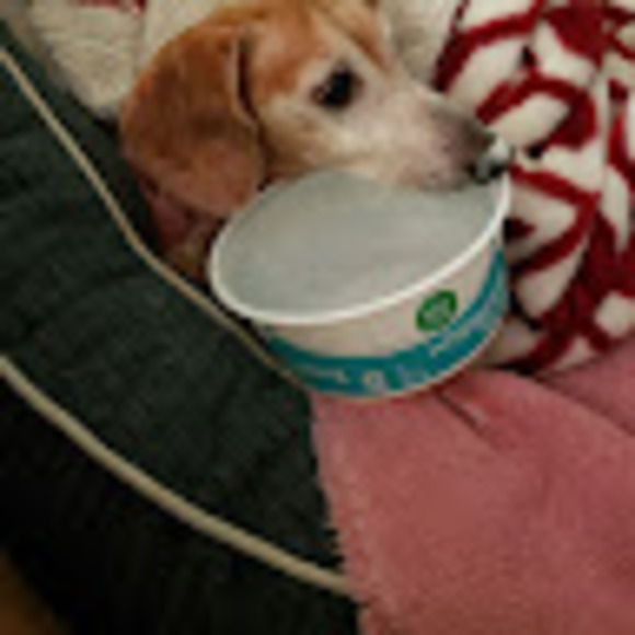 Meet your Posher, Erica - Picture 1 of 1